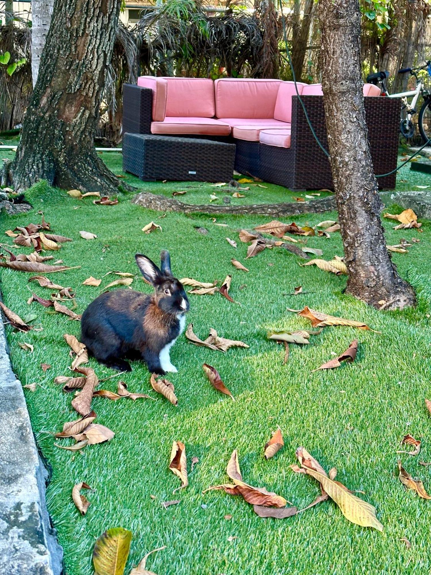 Miami House Hotel Ngoại thất bức ảnh